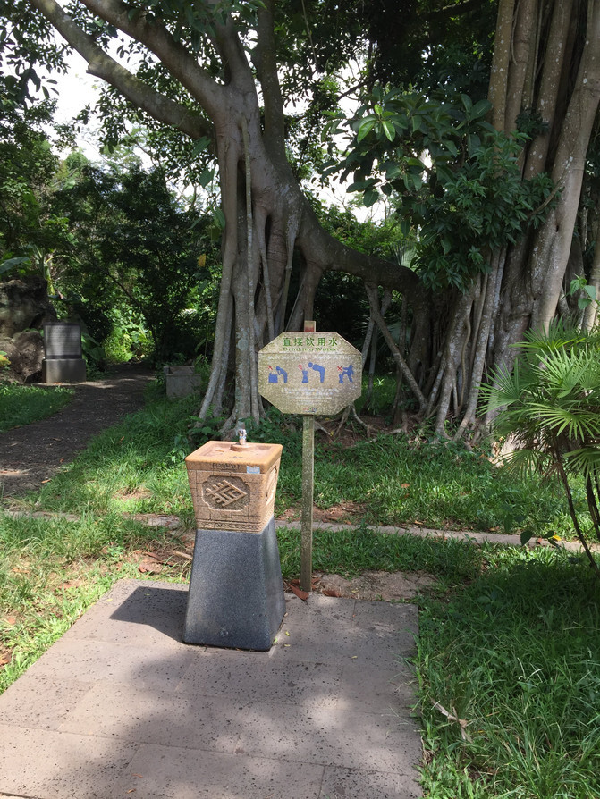 在这个阳光明媚的春季,在这个阳光灿烂的日子里