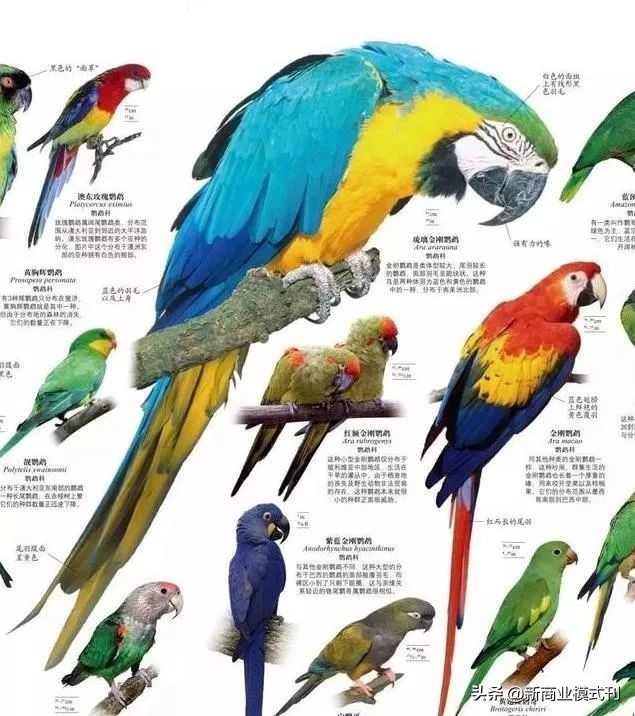 社群营销书籍大全,社群营销书籍