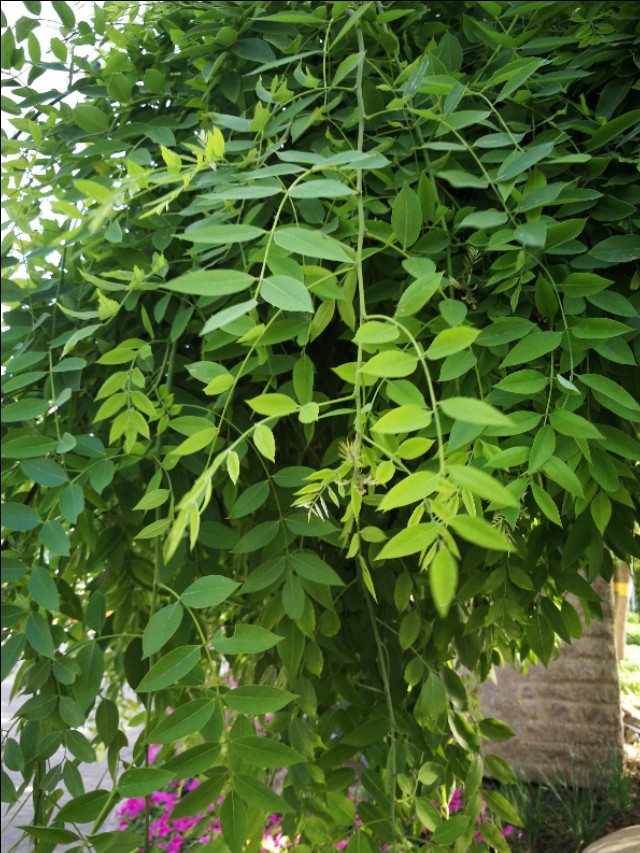 爱说话的为什么不爱喝汤~原来