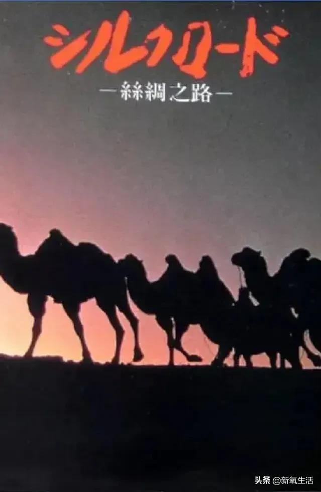 豆瓣评分9.0以上的剧集,豆瓣评分9.5以上的电影值得一看