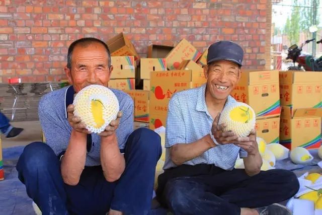 大漠甜瓜,甜甜蜜蜜就是民勤滋味