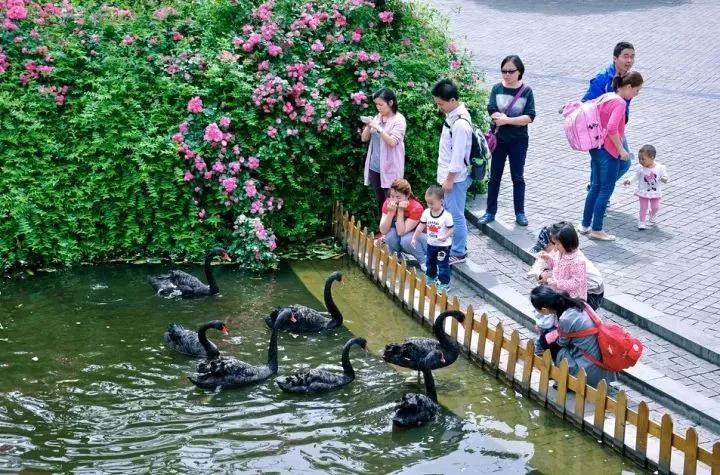 天府新区生活配套,成都天府新区教育配套
