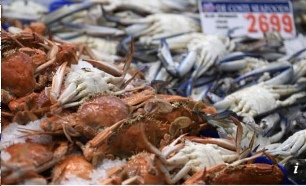 龙虾换口罩？澳洲花7亿包机卖龙虾到中国，返程时装满医疗物资