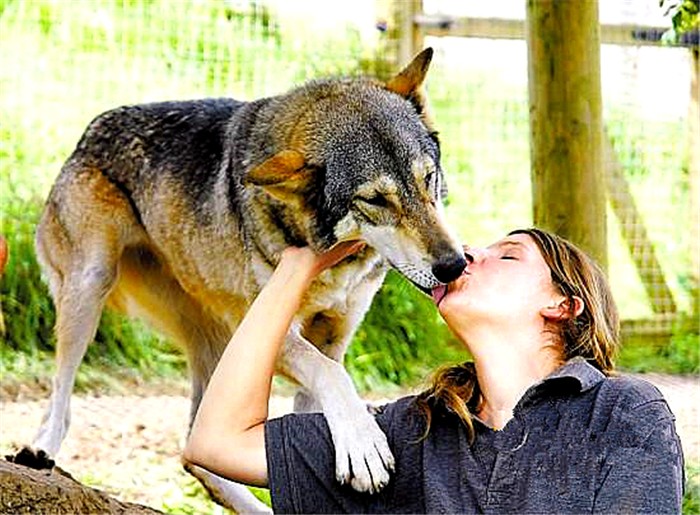 狗狗亲嘴是什么行为,狗狗亲吻你的嘴巴是什么意思