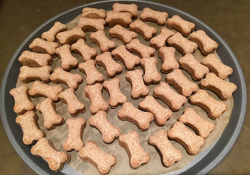 狗狗幼犬不吃饭怎么办,狗狗15岁了呕吐不想吃饭怎么办