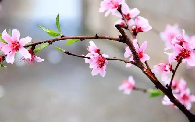 励志金句经典语录300句,励志座右铭八个字经典语录