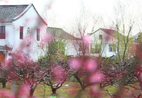 大战大考决战决胜鼓干劲,上海奉贤续写美强新答卷