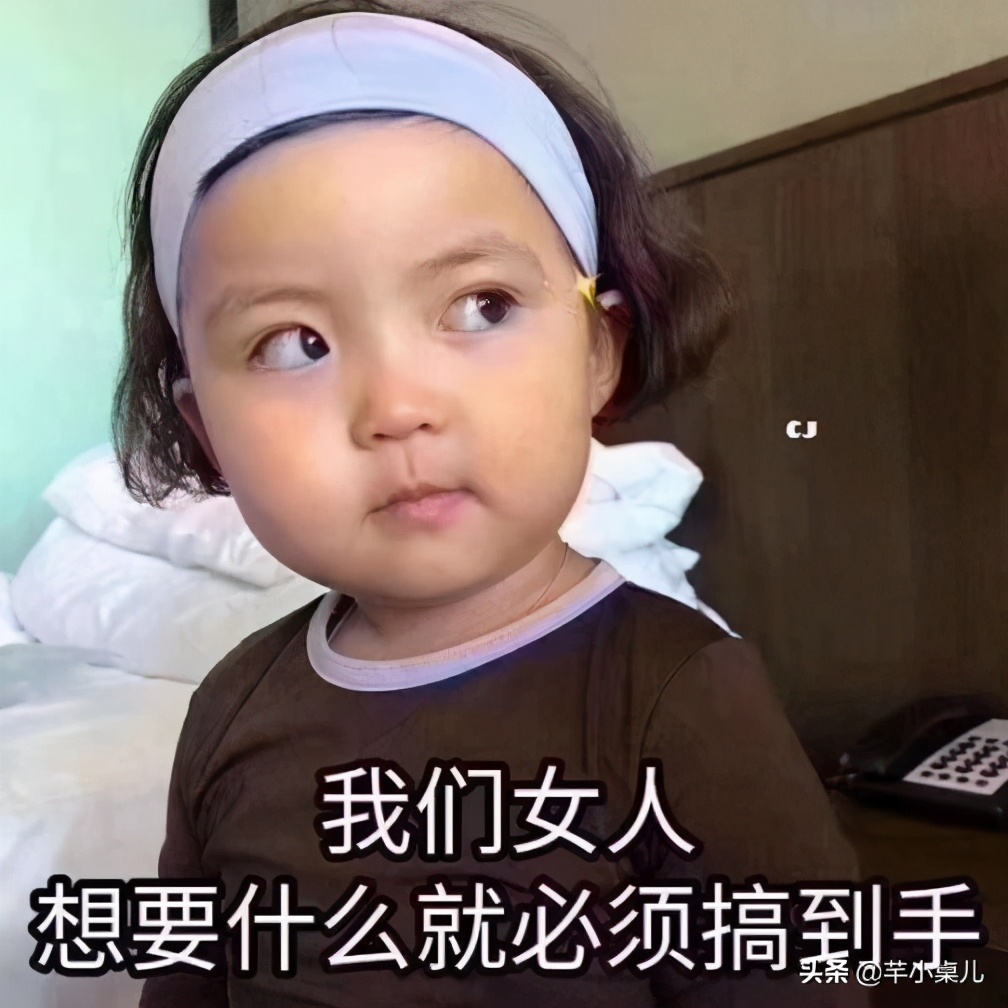 双十一剁手大全,双十一买菜攻略