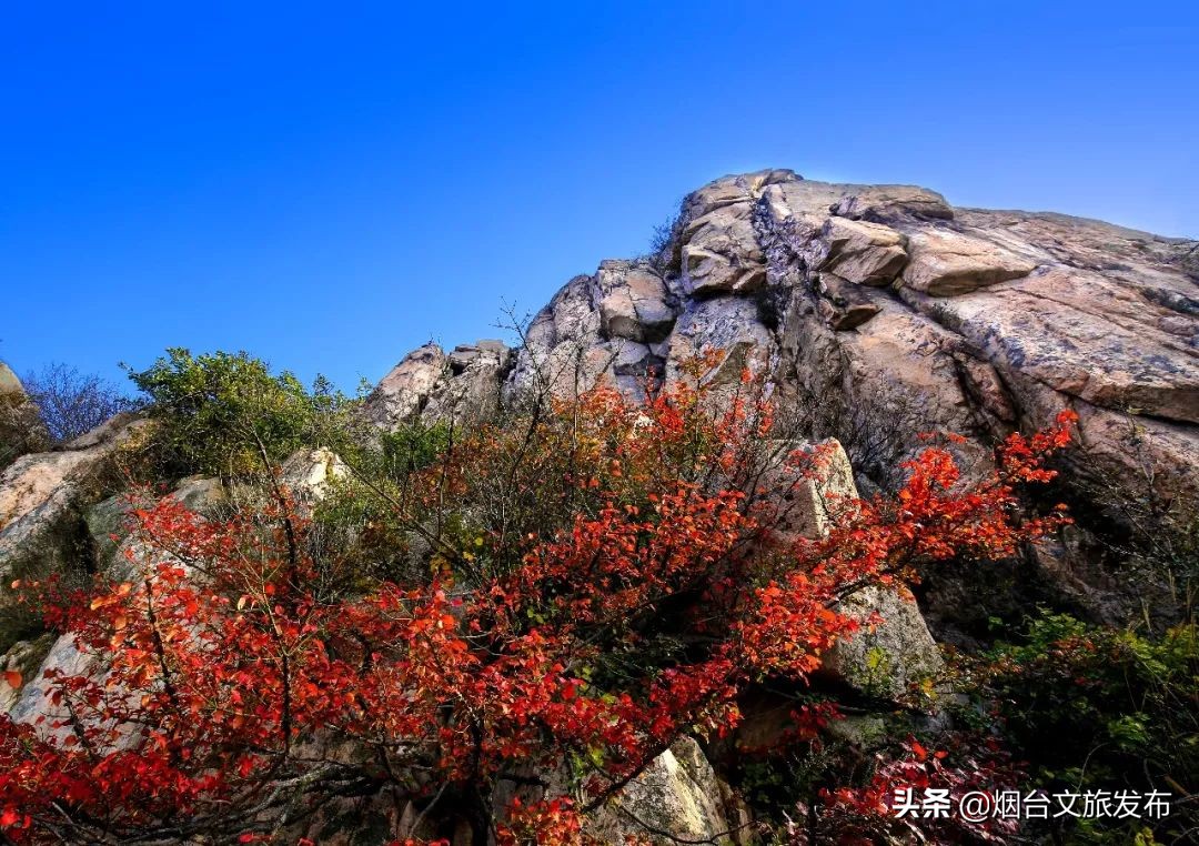 蓬莱的海边风景,蓬莱仙境的景色非常迷人