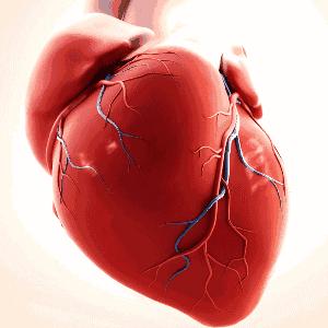 和人争吵后倒地不起检查全部正常,与人争吵就全身发抖是怎么回事