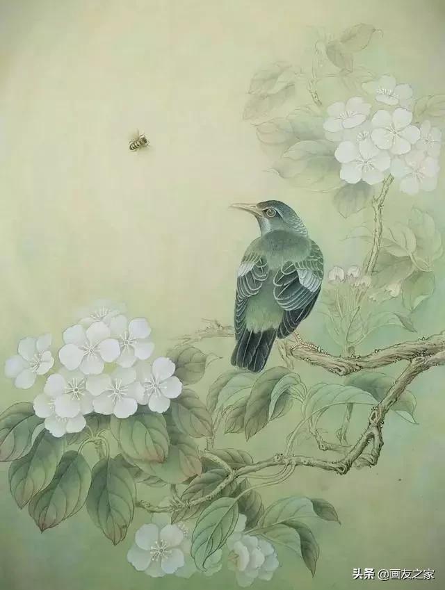 陈松岩工笔白描画全集,陈松岩工笔国画