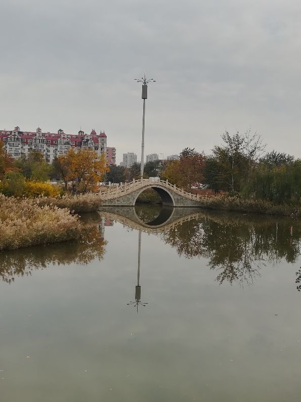 天津遛娃好去处,天津近郊一日游好去处