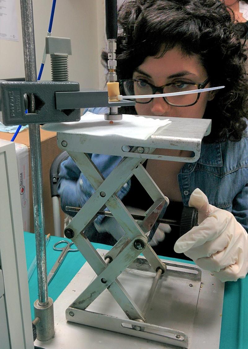 nature评选世界最具影响力科学家,nature评选20位物理学家