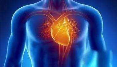 摘除多数内脏仍能活：你不知道人体的十个秘密