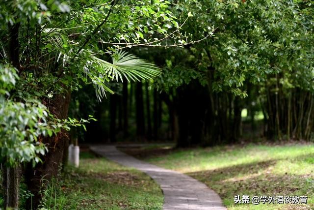 「CET-6关键词作文」SaveWildAnimals