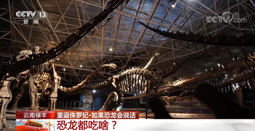 侏罗纪史前动物与人类和平共处,侏罗纪遗留下的动物有哪些