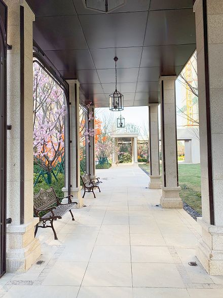 河西中房价历年走势,河西中次新豪宅