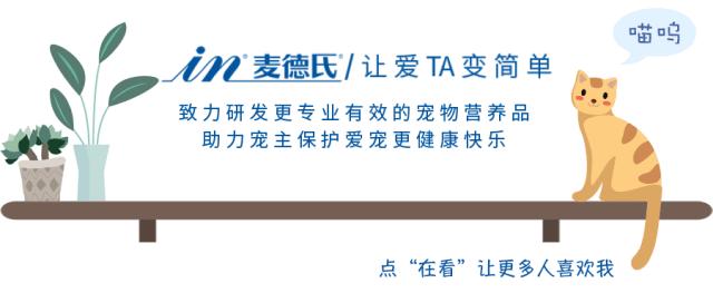 女主人这个部位天天被狗吮吸,男主人脸色铁青……