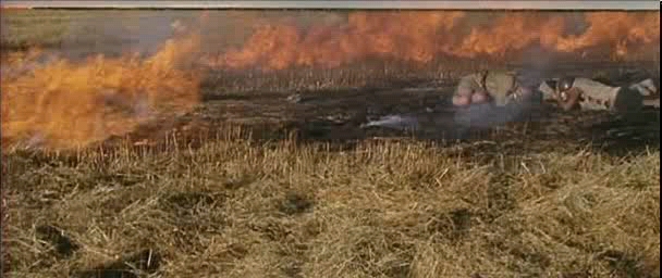 《紫日》紫色,代表太阳快落山了