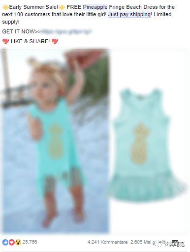 8周流水6700美元Dropshipping运营全流程曝光丨出海笔记