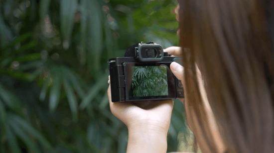 松下g1004k照片,松下g100m43镜头