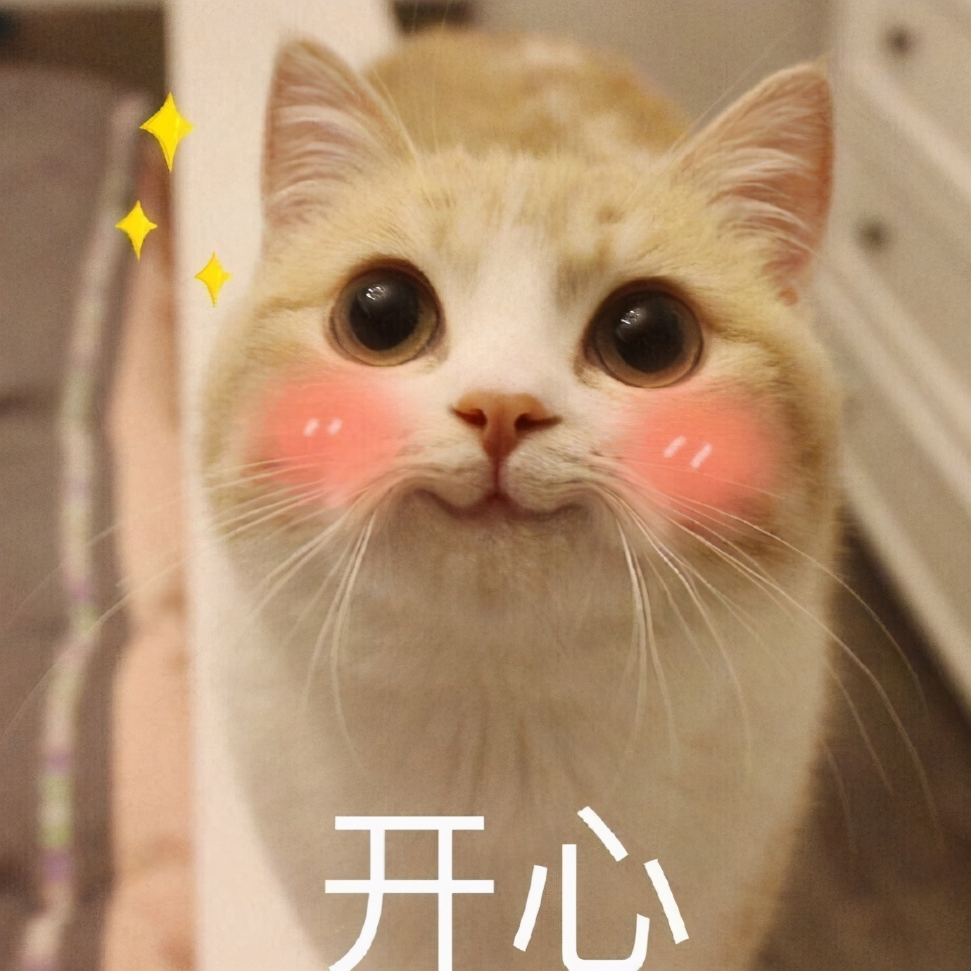 赵本山买私人飞机被罚款多少,赵本山小品卖飞机