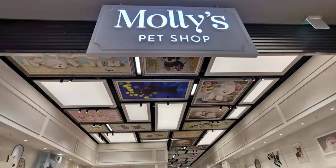 韩国宠物店推荐,韩国宠物店体验