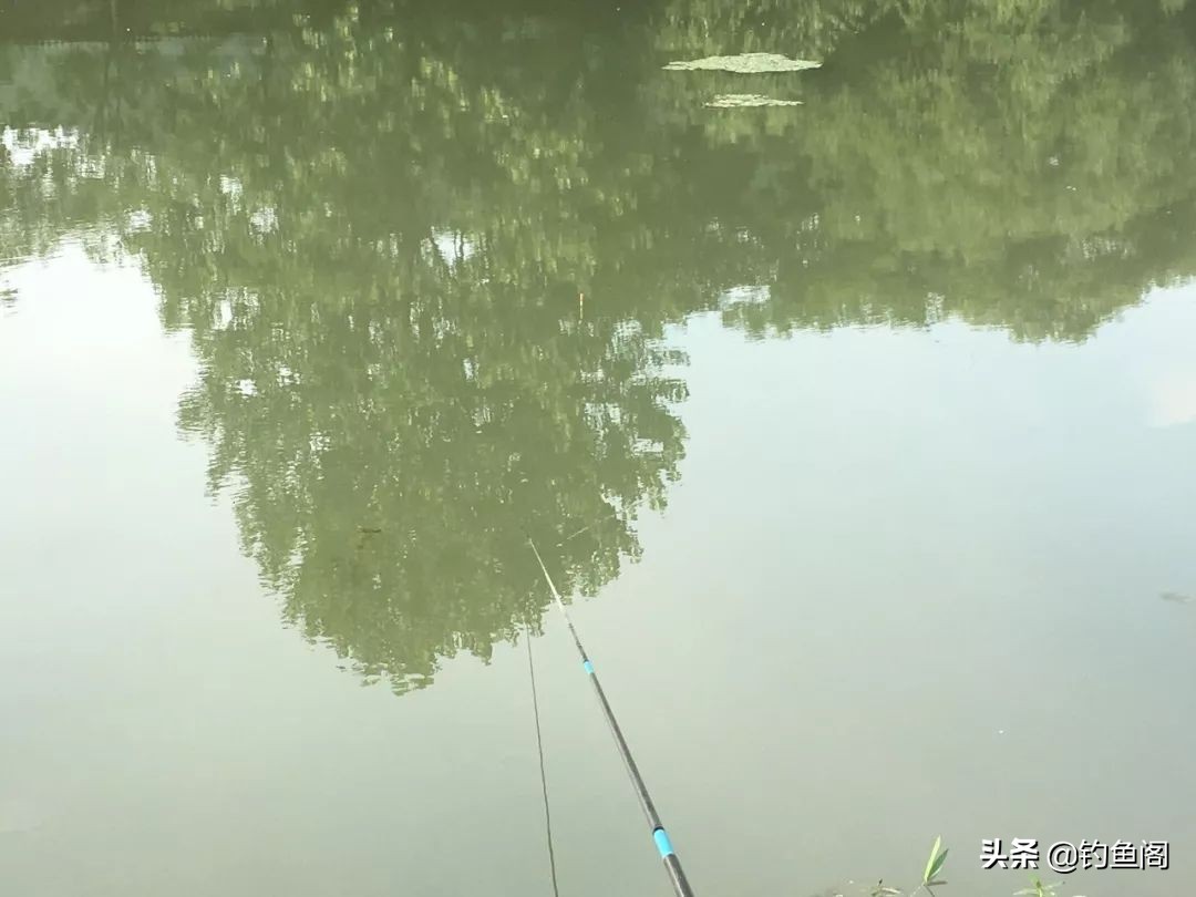 7.2米鱼竿黑坑用19调还是28调好,钓黑坑如何选钓竿