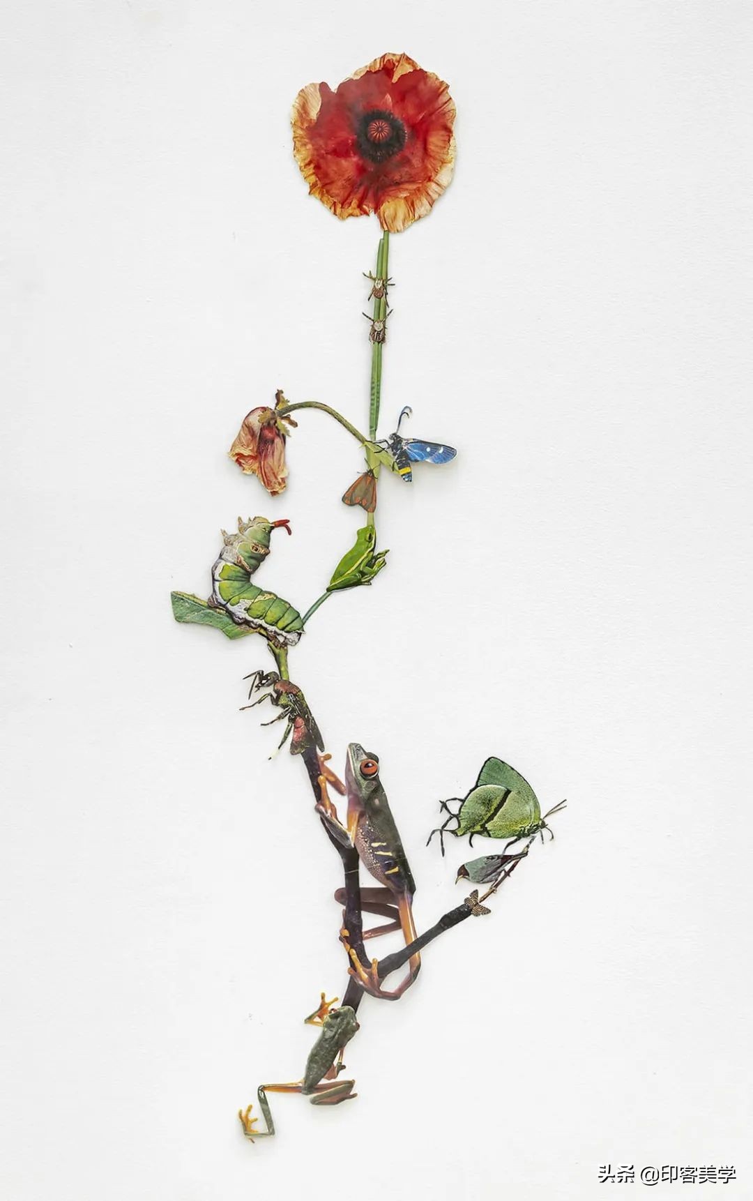 纸的艺术手工作品,惊艳的手工纸艺品