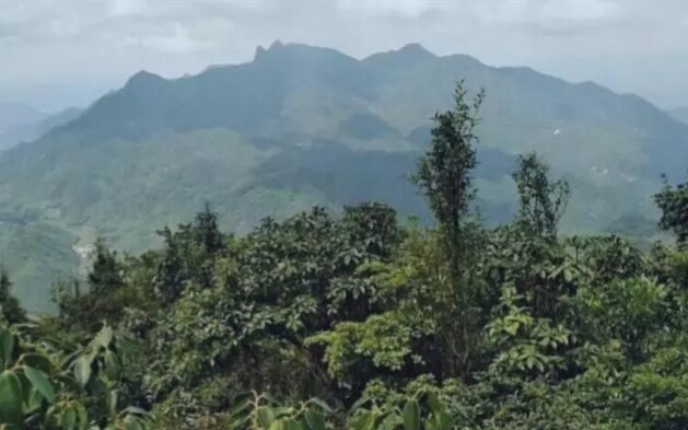 广州高峰排行榜前十名,广东适合爬十大高峰