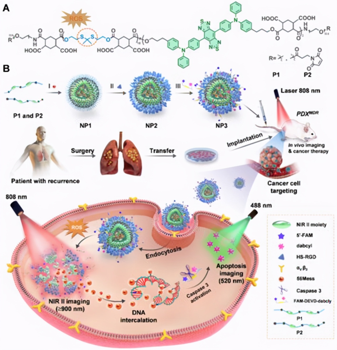 脾胃虚弱的10个表现图,脾胃虚弱的10种表现