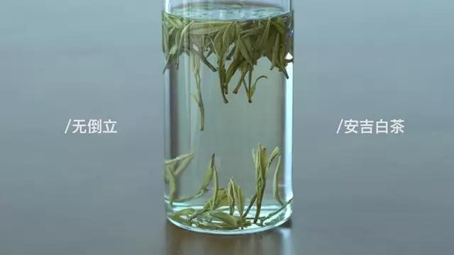 会倒立的才是好绿茶？我们给你做了这个实验