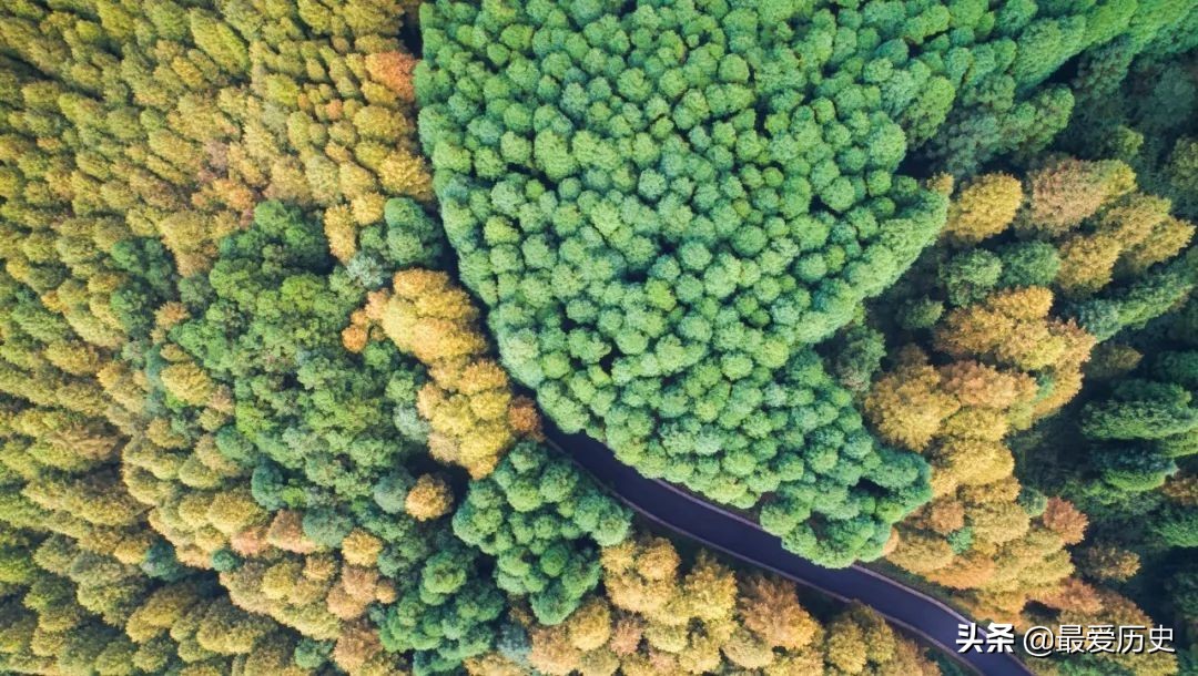 现当代古典情诗推荐,十首最美好的情诗古诗词