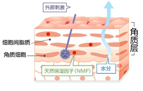 小玛直播公益课,小玛公益课堂