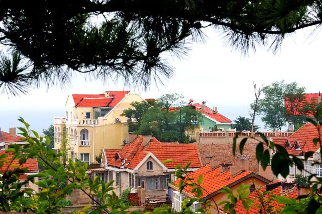 青岛13号线网红景点,青岛最值得去的景点和网红打卡点