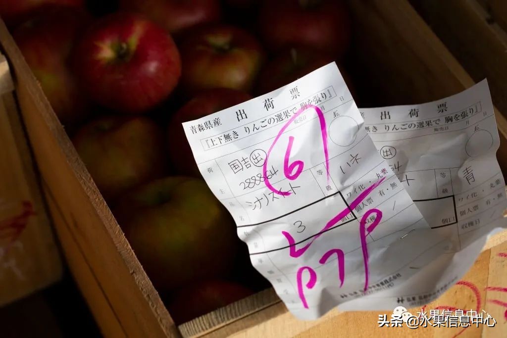 为什么日本苹果质量比中国的好,日本青森苹果种植