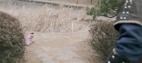 全网狂喷，紧急下架，它活该被骂