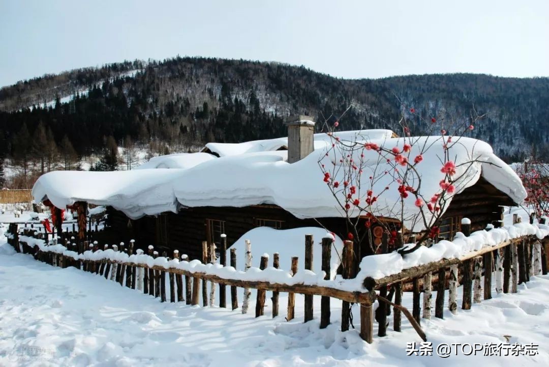 这才是真正的冰雪旅游,2021年冰雪旅游十大城市