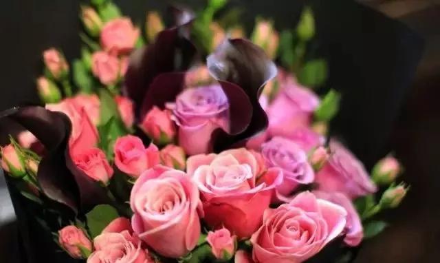 每天学习一点点各种花代表的花语,每天学习一朵花知识