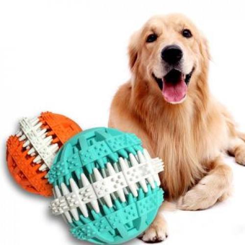 金毛犬专用冻干狗粮,金毛犬狗粮有推荐吗