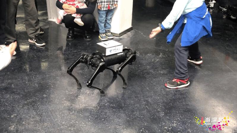 深圳花展2019年12月时间表,深圳第一场春天花展