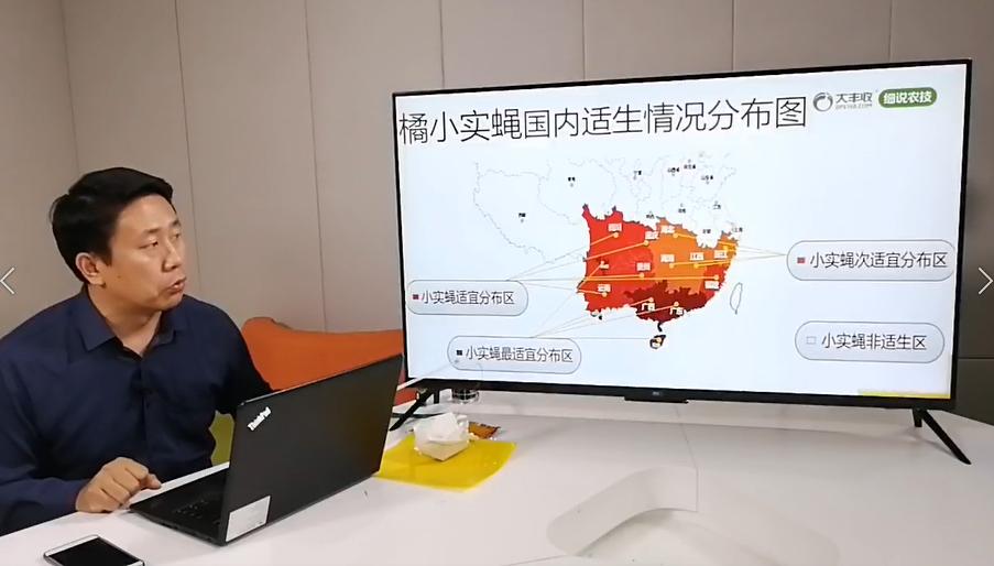 果实蝇危害蔬菜,果实蝇危害梨吗