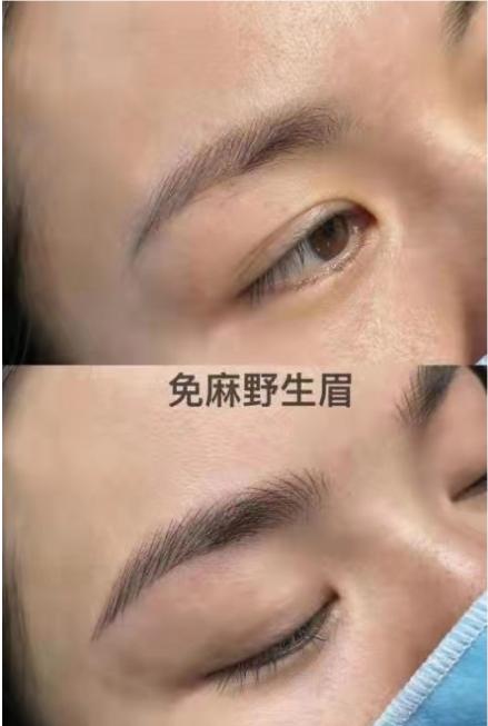 纹眉野生眉自然款,宋新月纹绣