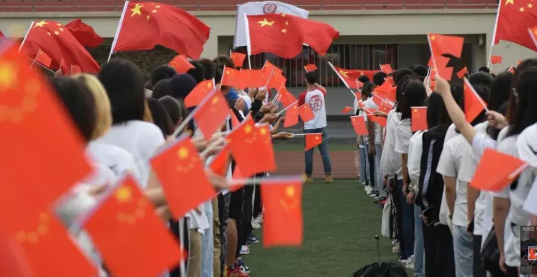 这一波爱国表白,很圈粉