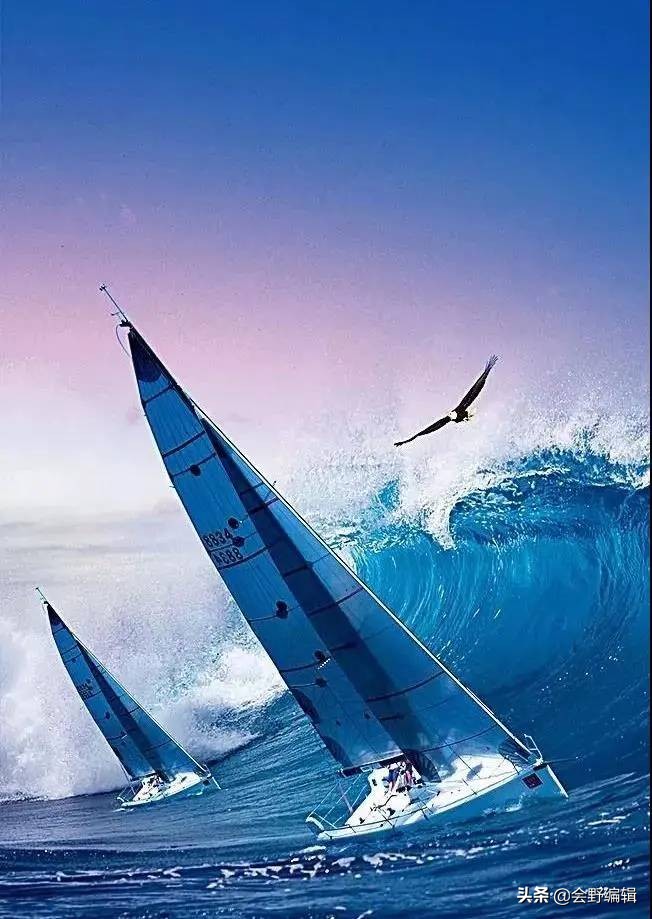 征服星辰大海，会野国际M600商界精英海丝路帆船挑战赛正式启航