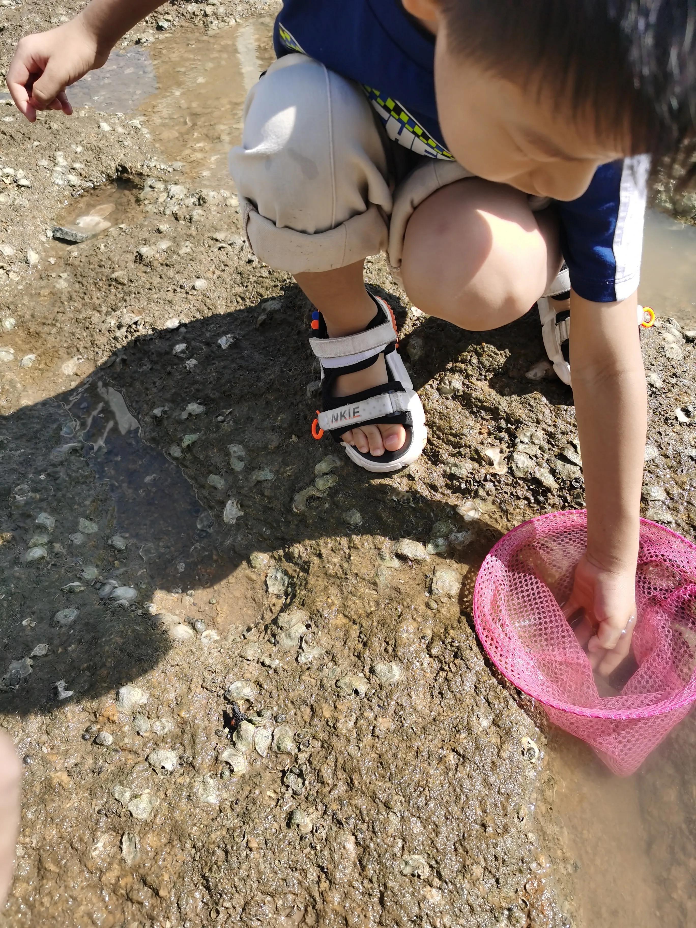 珠海偏僻人少的赶海地,珠海沙滩晚上露营赶海最佳地方