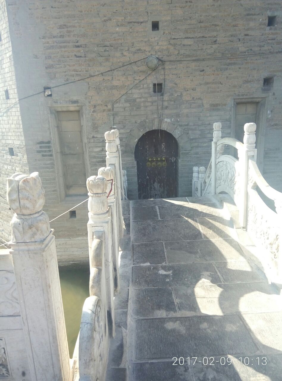 奇怪的古塔燕子----“严冬不南迁，有足不成行”