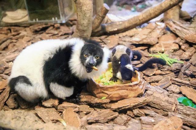广州三八妇女节特惠景点晚上,广州哪里有三八妇女节免费景点