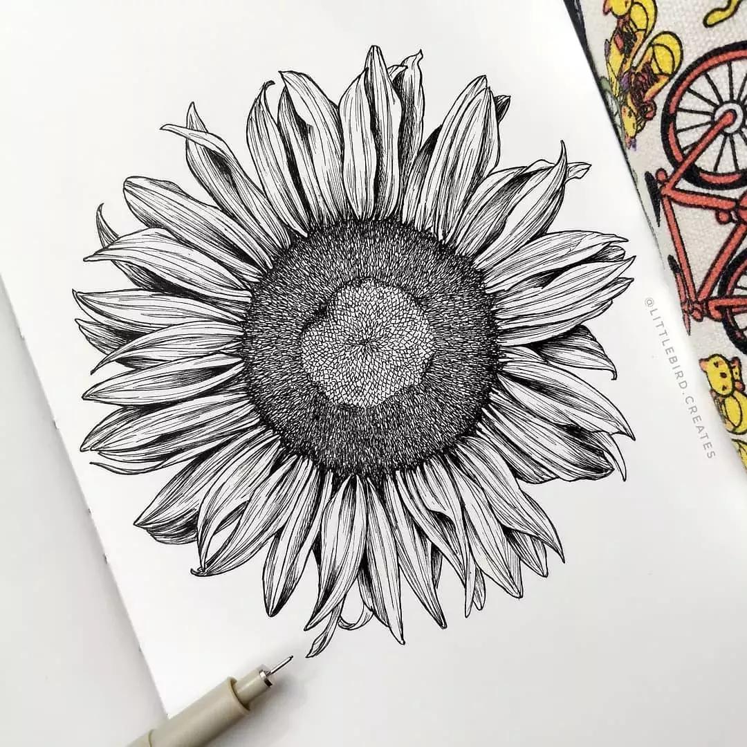 这一波手绘太给力了,绝对让你练完不厉害都难