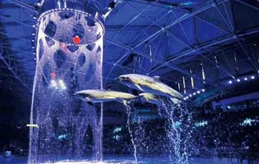 6月1日起山东免门票的景区名单,山东景区免门票政策有哪些